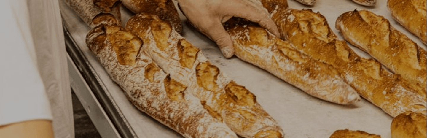 Recettes & Histoires de pain
